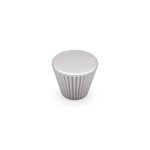 Lacquered Silver