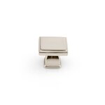 Polished Nickel
