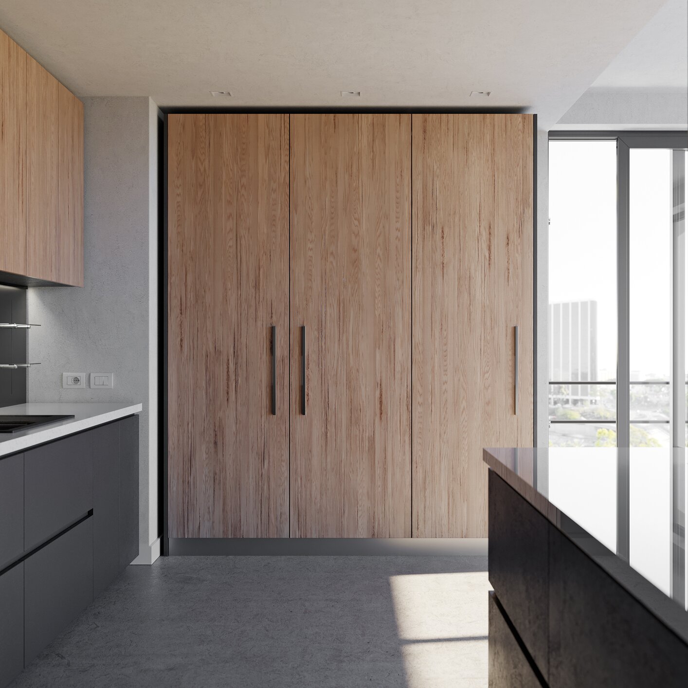 Salice Exedra Pocket Door System