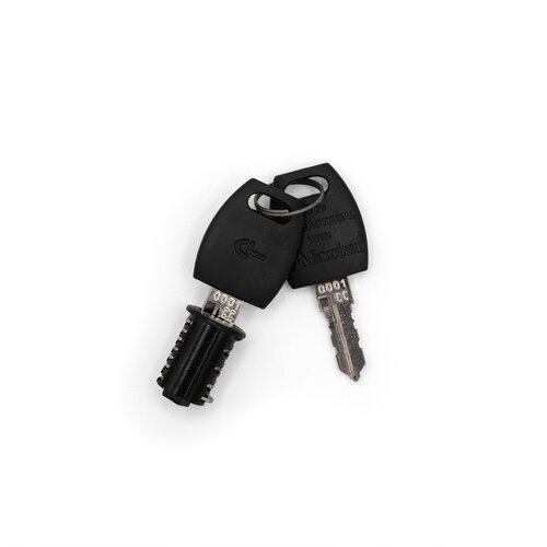 Removable Common Cylinder Core and Keys