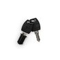 Removable Common Cylinder Core and Keys