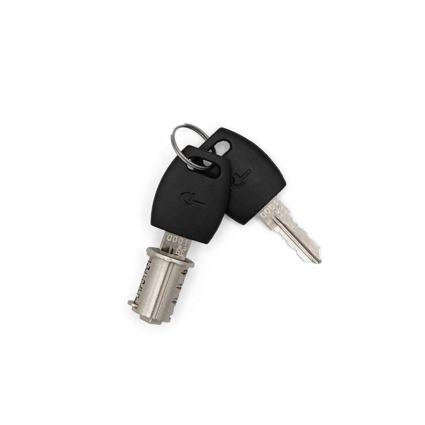 Removable Common Cylinder Core and Keys