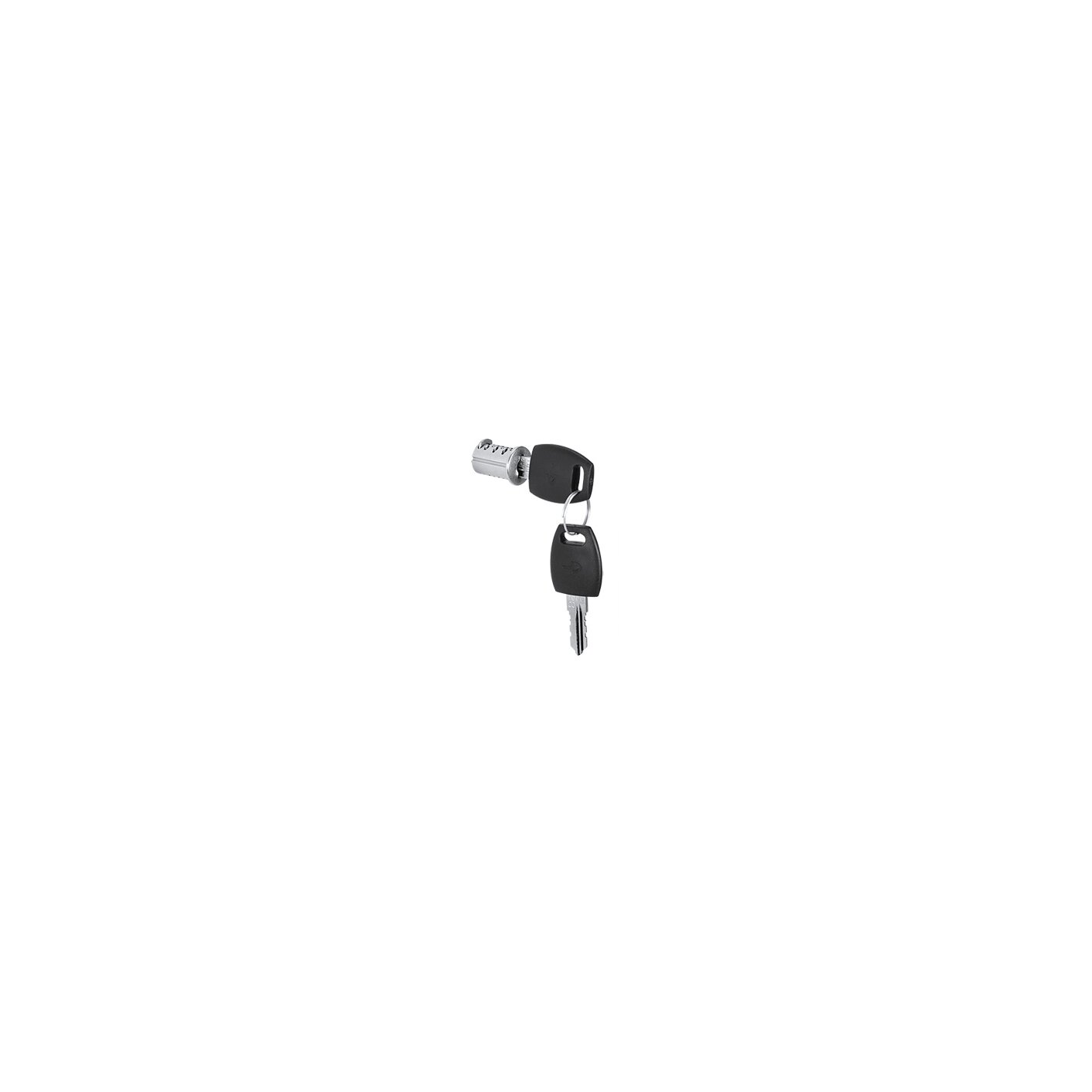 Removable Common Cylinder Core and Keys